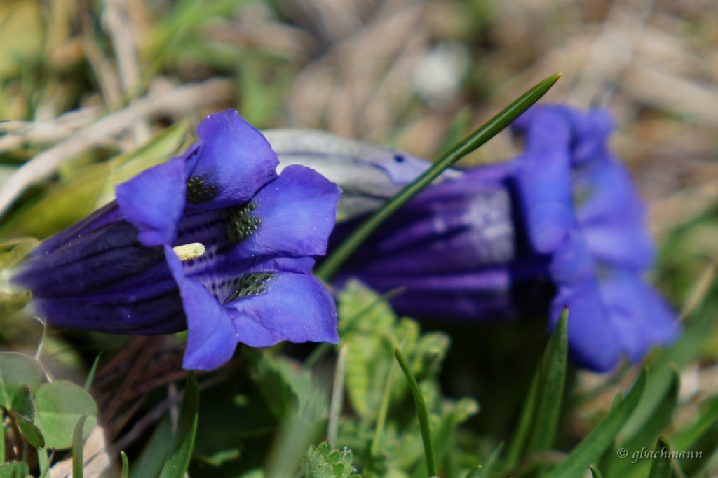20140531_111